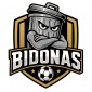 Bidonas